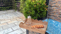 NATURAL SCALLOP RATTAN TRAY