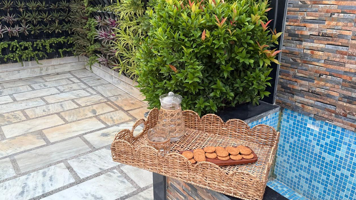 NATURAL SCALLOP RATTAN TRAY